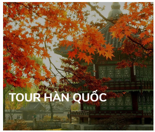 Outbound tours