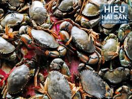 Ca Mau Crab