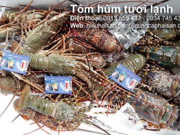 Fresh lobster