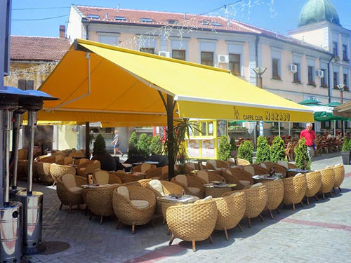 Automative roof cover