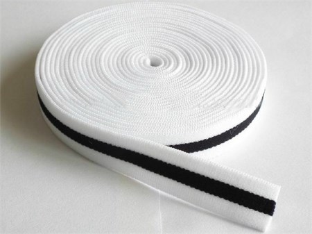 Elastic webbing