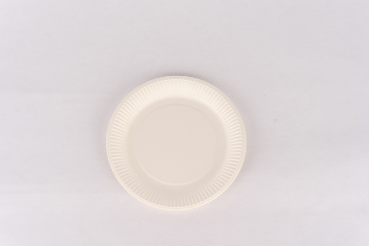 21cm round white paper plate – 02788