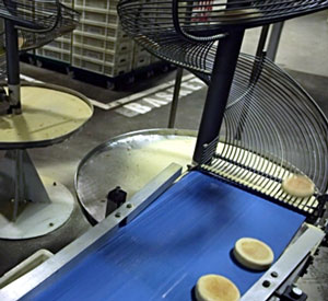 Heat resistant conveyor