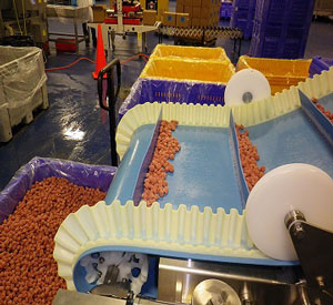 Conveyor with partition