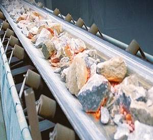 Trough conveyor
