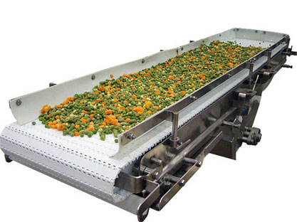 Food conveyor