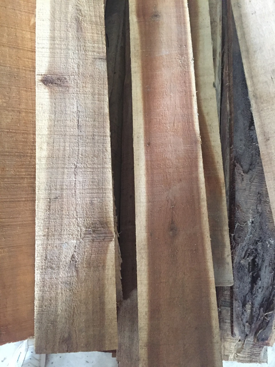 Melaleuca wood