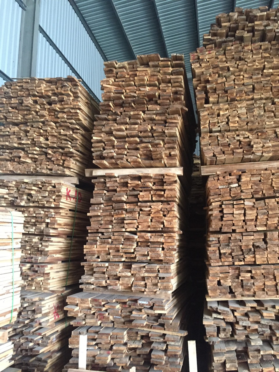 Melaleuca wood