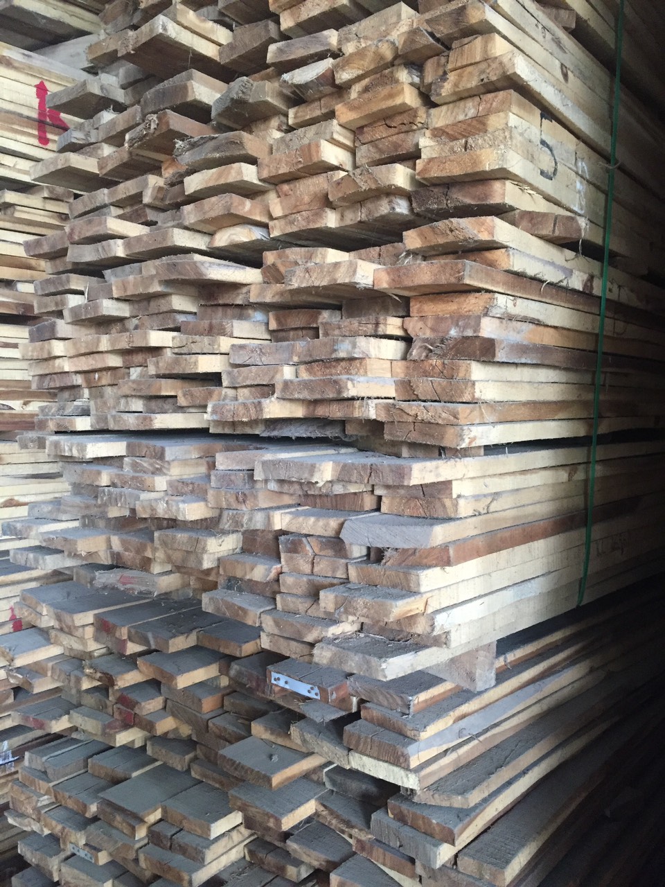 Melaleuca wood