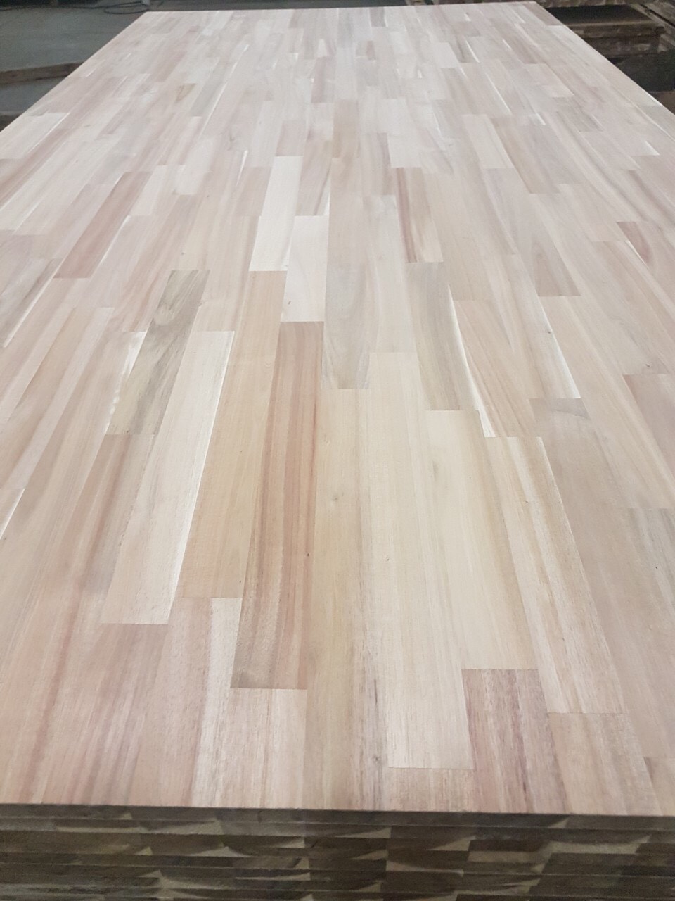 Joint Melaleuca Wood