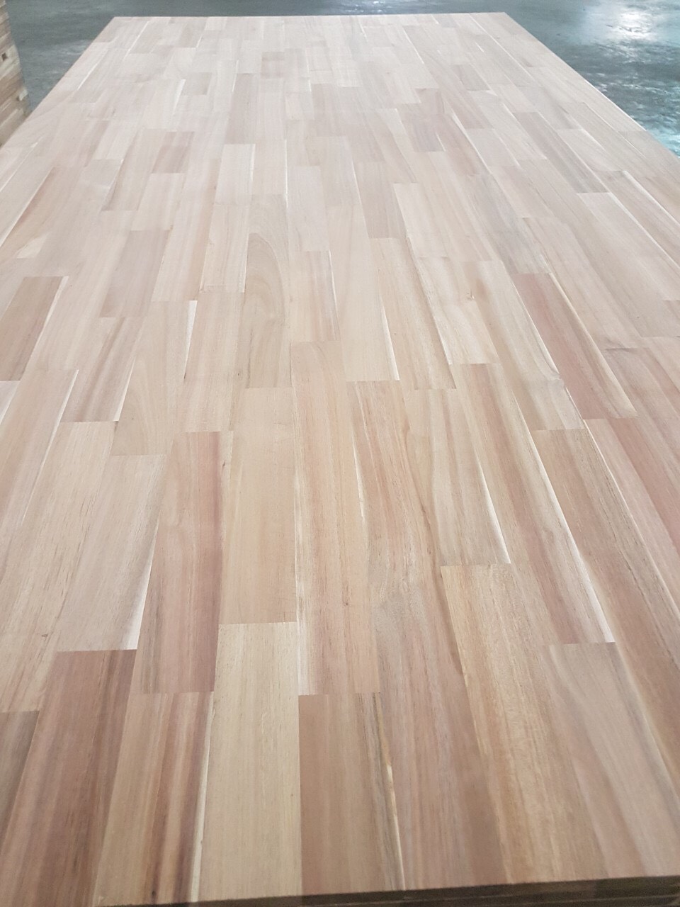 Joint Melaleuca Wood