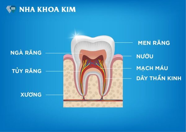 Root canal treatment