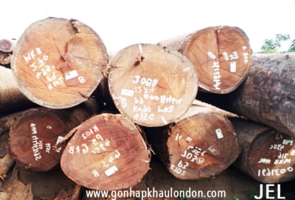 South American MKB Wood