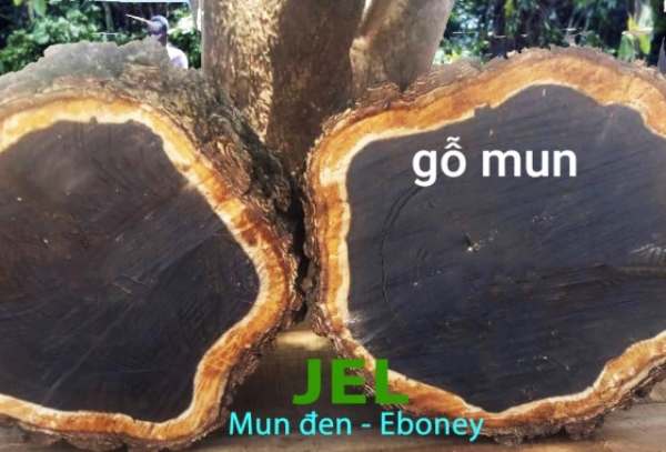 Ebony Wood