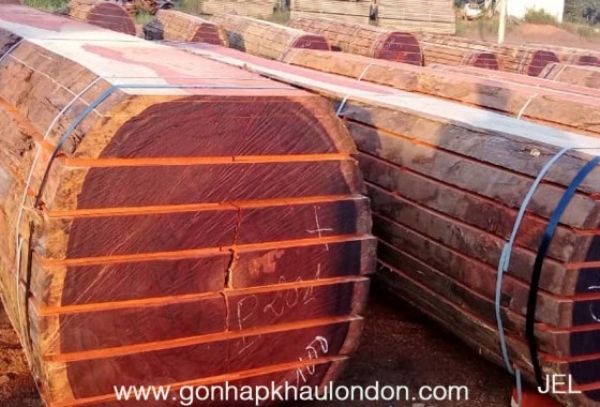 Padauk Wood