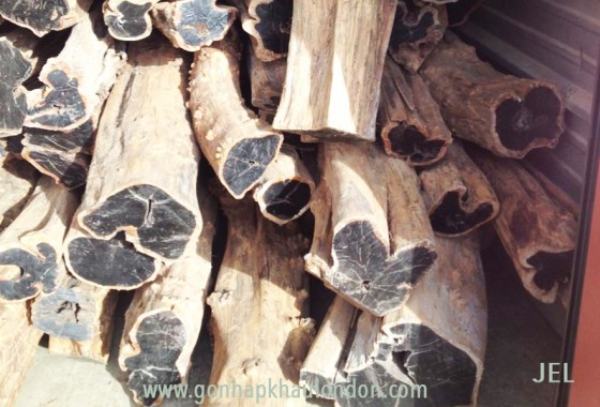 Ebony Wood