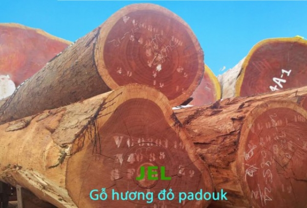 Padouk Santai Wood