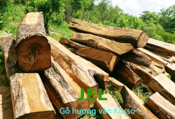 Kosso Wood