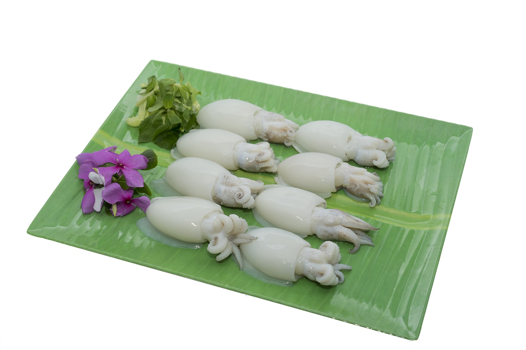 Whole cuttlefish