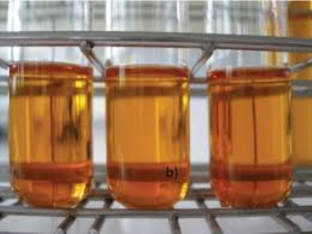 Biodiesel oil
