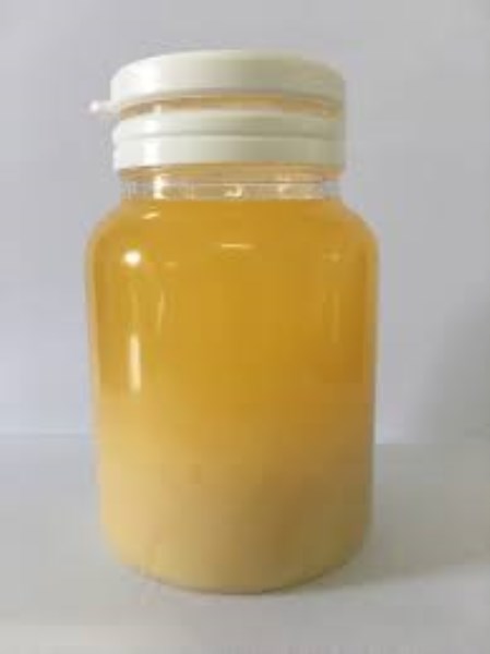 Fish fat