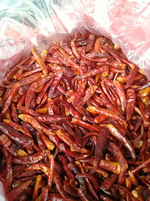 Dried pepper