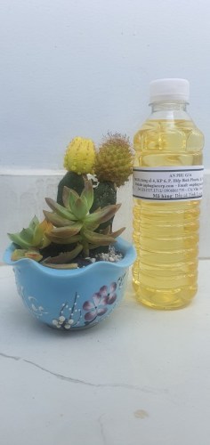 Refined fish oil