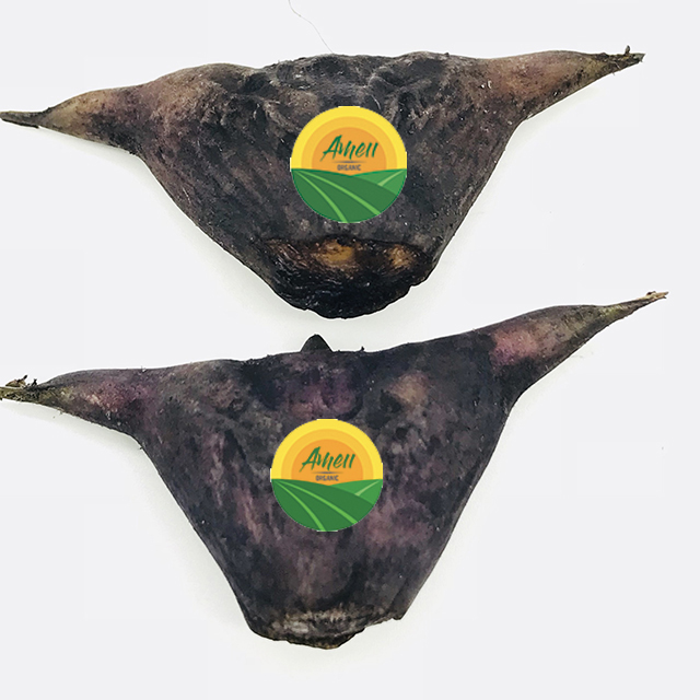 Ameii fresh water caltrop