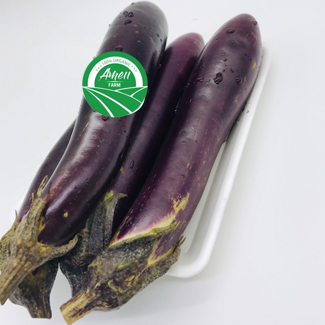 Ameii fresh eggplant