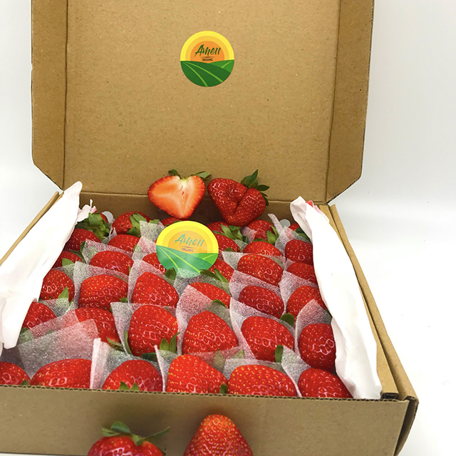Ameii fresh strawberry