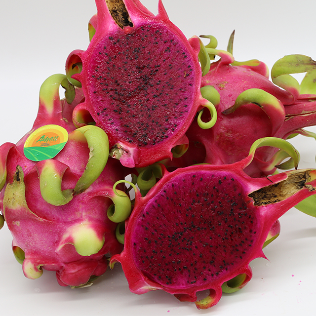 Amei fresh red dragon fruit