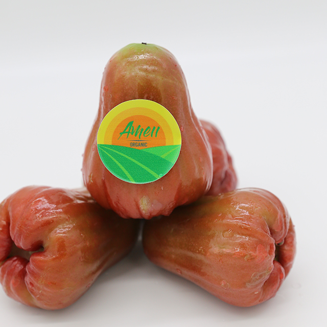 Amei fresh rose apple