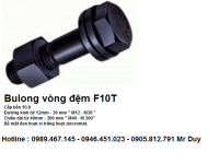 F10T Bolt