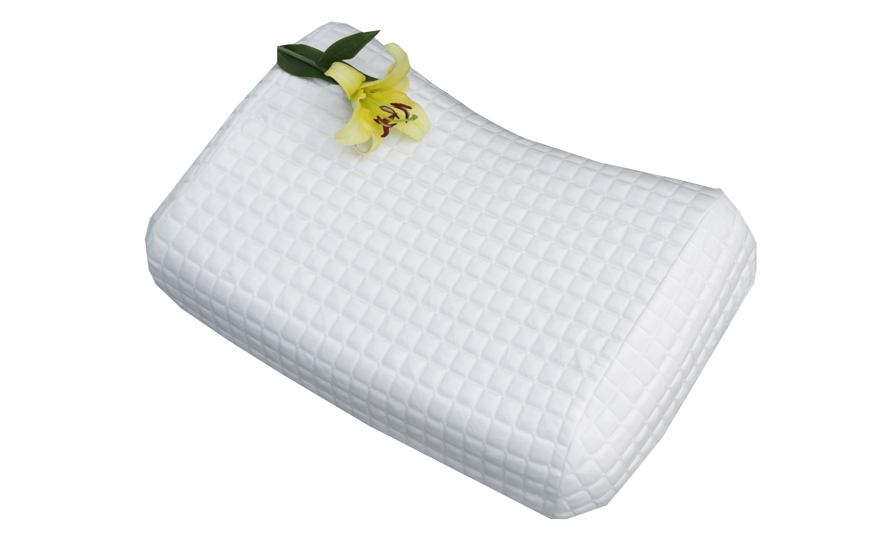 Natural Latex Heart Pillow