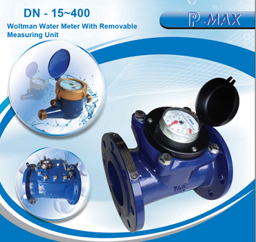 Malaysia water meter