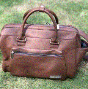 Handbag