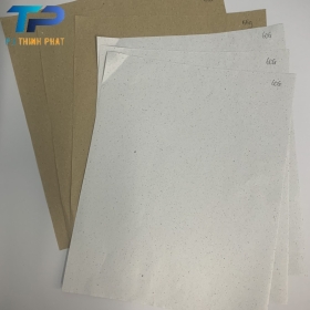 PITP lined paper