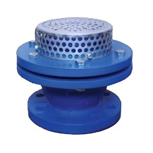Foot valve