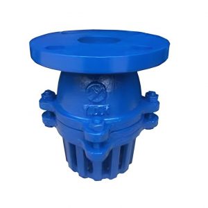 Foot valve