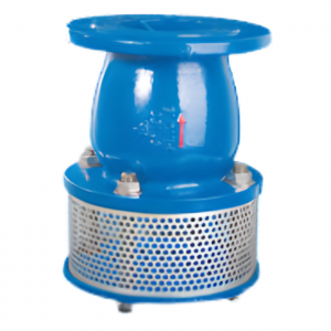 Foot valve