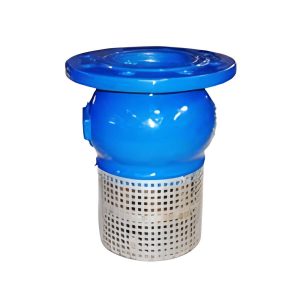Foot valve