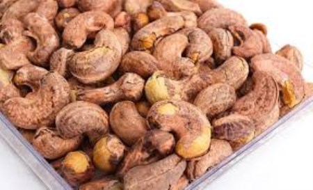 Cashew