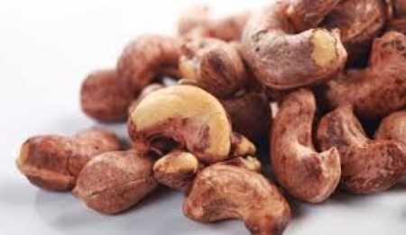 Cashew
