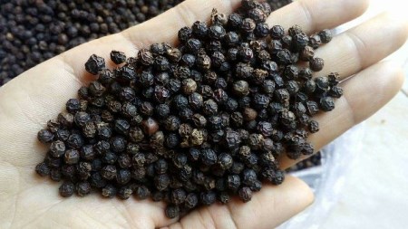 Pepper