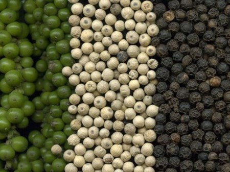Pepper