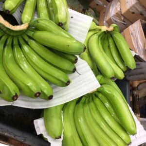 Cavendish banana