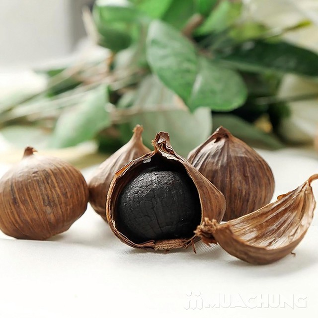 Solo black garlic