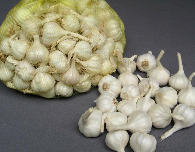 Ly Son garlic