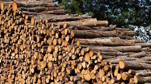 Service for wood handling