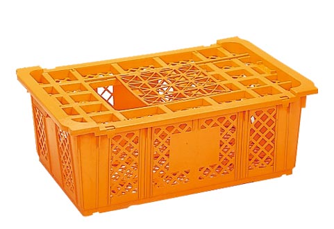 Plastic product